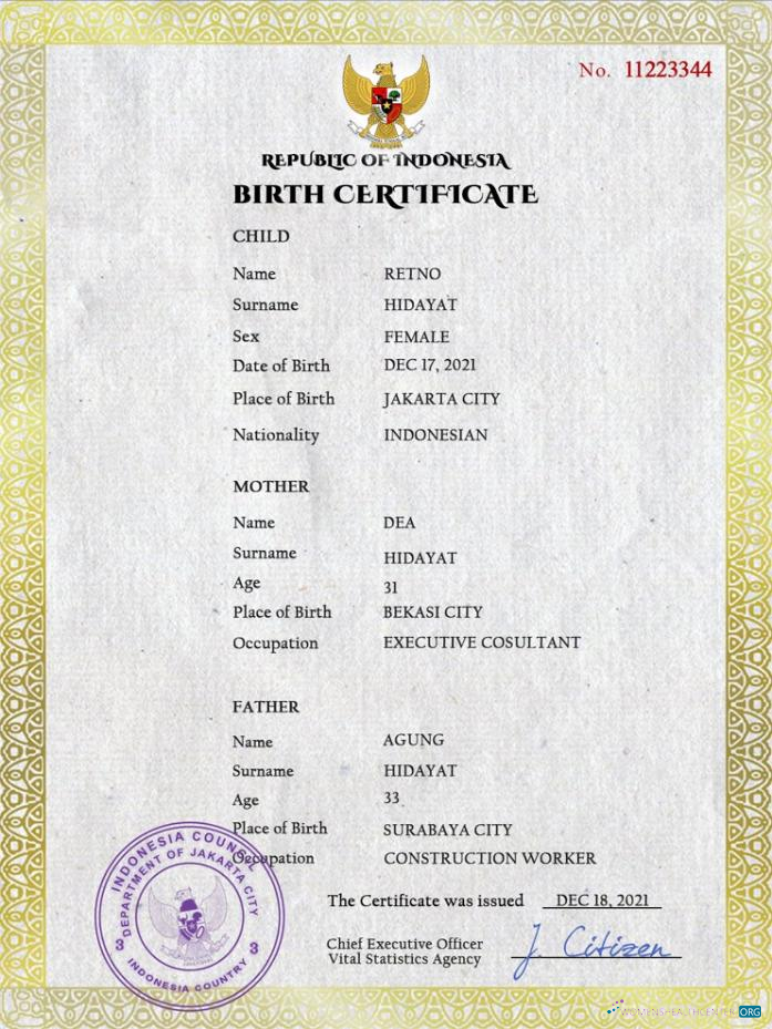 Download Indonesia vital record birth certificate PSD template Photoshop template